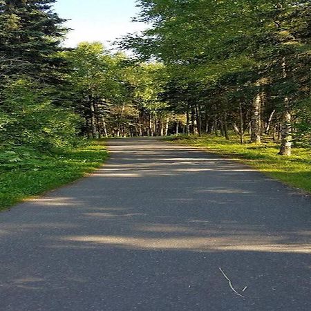 Moose Meadows- Near The Airport, Centrally Located Анкоридж Екстер'єр фото