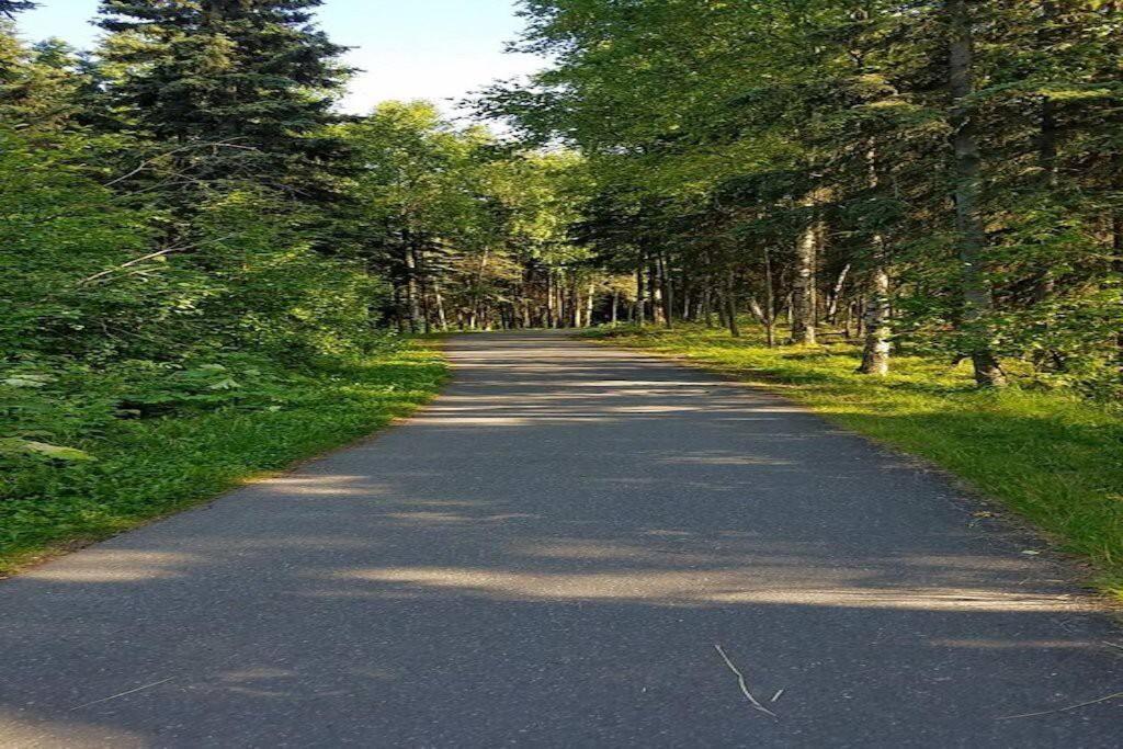 Moose Meadows- Near The Airport, Centrally Located Анкоридж Екстер'єр фото