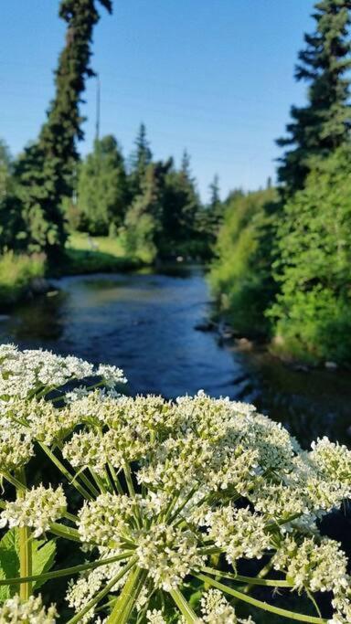 Moose Meadows- Near The Airport, Centrally Located Анкоридж Екстер'єр фото